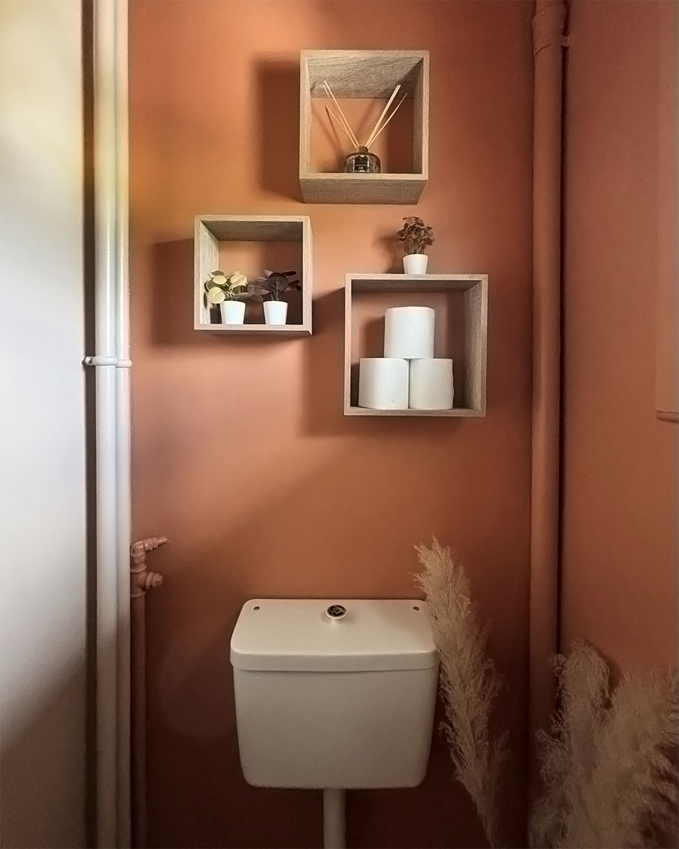 Toilettes colorées image 1